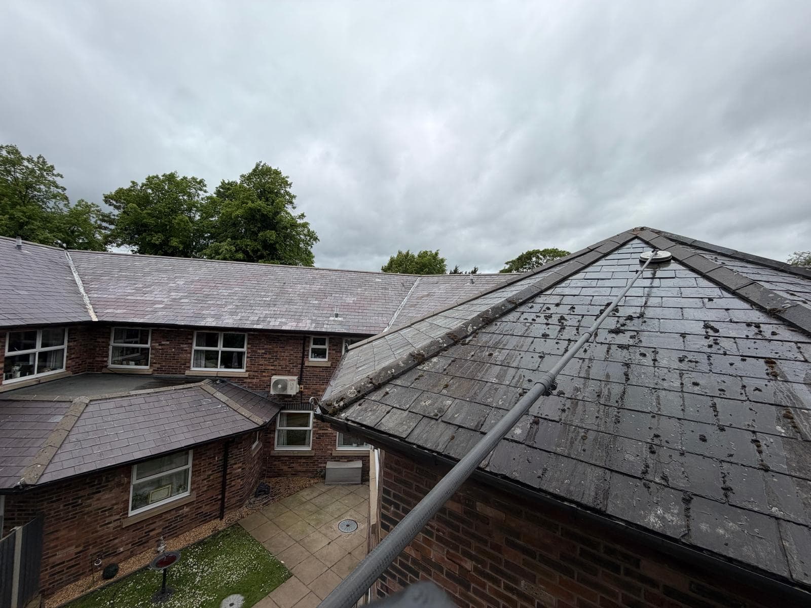 Moss Removal from Roof