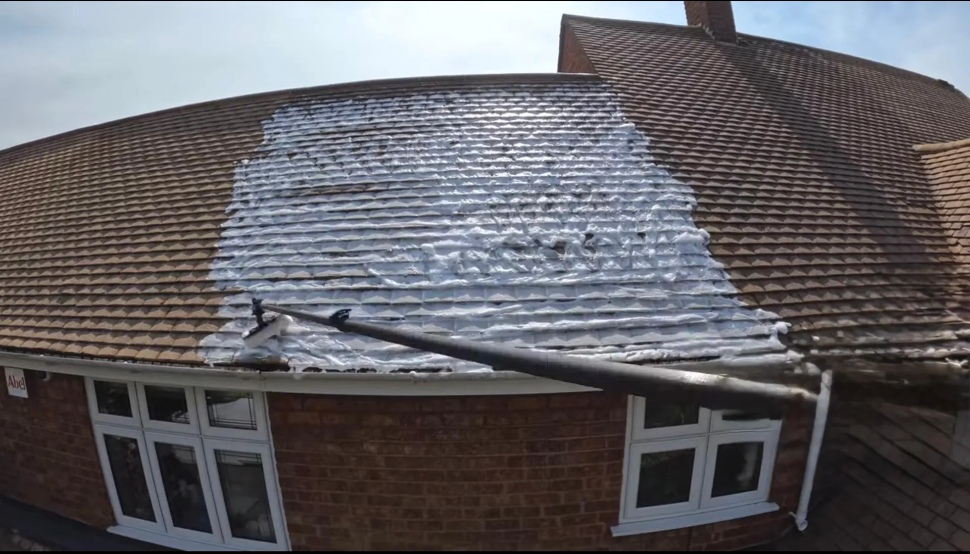 Brush Biocide Treatment